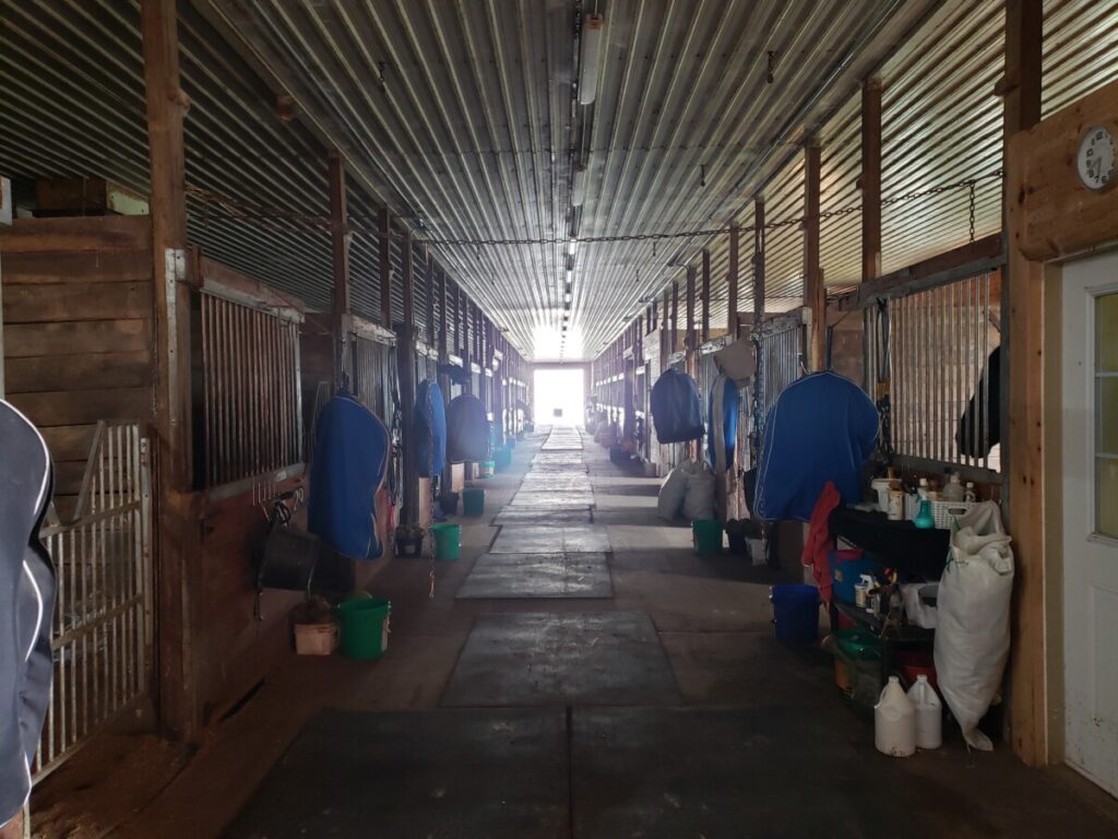 An empty shedrow in a horse racing barn.