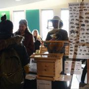 Humber Lakeshore helps the bees