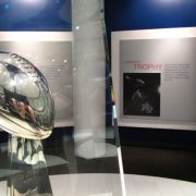 Fan’s View: Who Will Win the Super Bowl on Sunday?