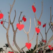 Valentine’s Day woes: why does it make us feel so overwhelmed?