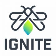 Five reasons to reconsider voting in the IGNITE elections