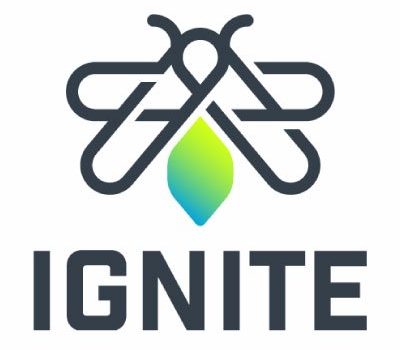New batch of candidates for IGNITE elections