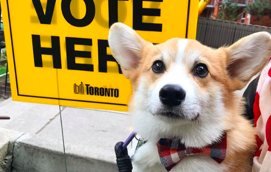 Toronto Municipal Elections: Social Media Wrap-up