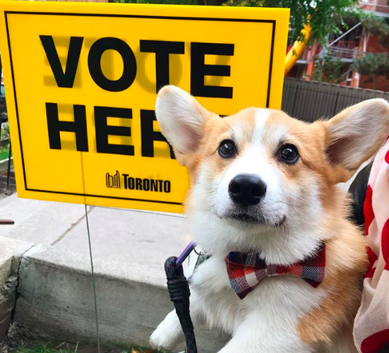 Toronto Municipal Elections: Social Media Wrap-up