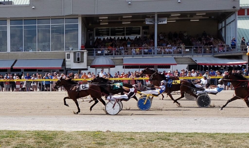 Harness racing at Grand River Raceway in Elora, ON in August 2019.