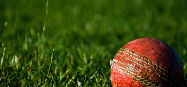Cricket added to Ontario’s phys-ed curriculum