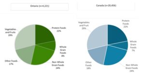 Two pie charts showing the percentage contributions of food grouping in Ontario and Canada